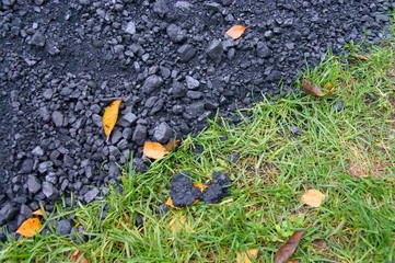 coal and grass