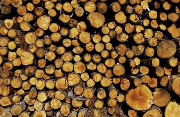 Möbelaufkleber bois de chauffage © PackShot