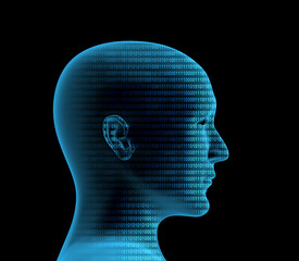 3d human profile from a binary code