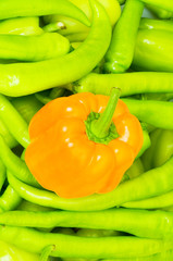Orange bell pepper and peppers at background