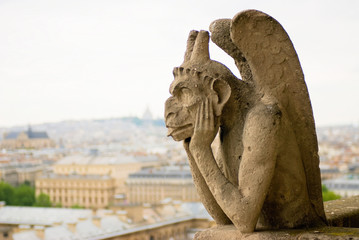Fototapeta na wymiar Chimera w katedrze Notre Dame. Paris.