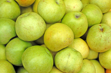 Apple background. Can be used as wallpaper