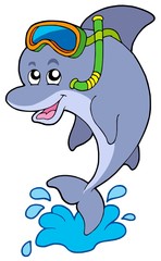 Plongeur tuba dauphin
