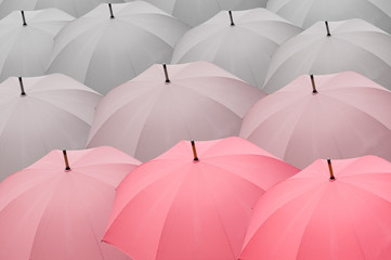 Obraz premium Rosa Regenschirme
