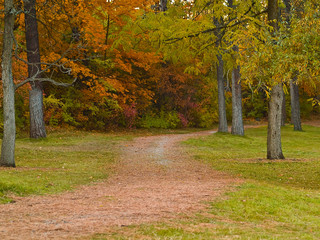 Fototapeta premium Autumn Path