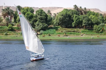 Abwaschbare Fototapete Felouque sur le Nil © OlivierTetart
