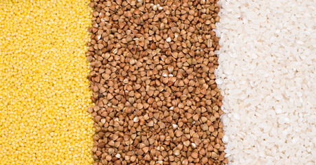 Millet, buckwheat, rice background