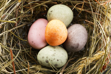 Naklejka na ściany i meble chocolate eggs in the nest