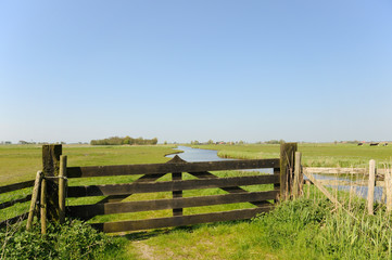 Dutch landscape in polder