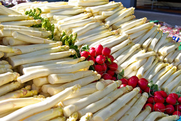 Spargel