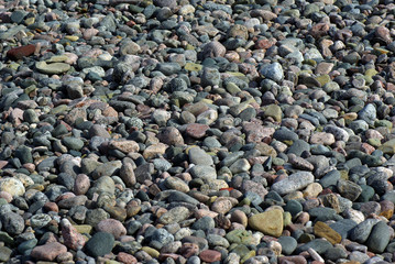 Stones at the beach