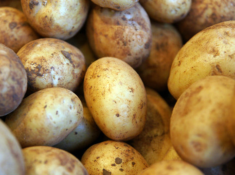Kartoffeln vom Biobauer