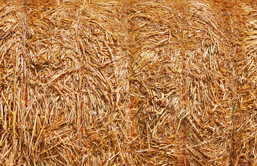 Abstract background of a tightly packed bale of straw