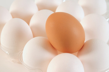 Eggs.