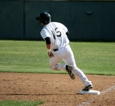 Baseball Action