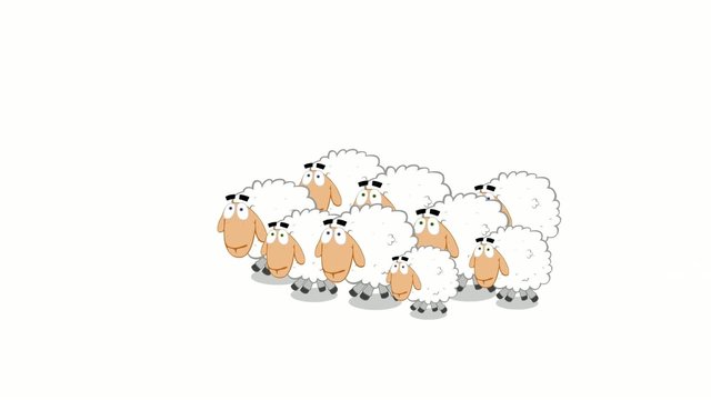 a flock of sheep