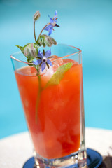 Bloody Mary cocktail
