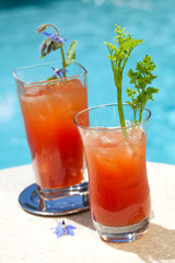 Bloody Mary cocktail
