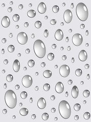 Water Drops