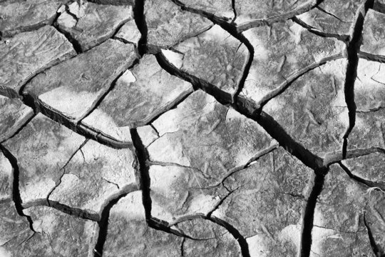 Cracked Earth