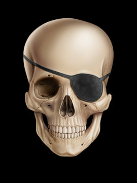 Pirate Skull 3