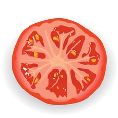 piece of fresh tomato(vector, CMYK)