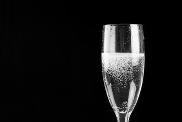 Champagne flute filled with sparkling wine
