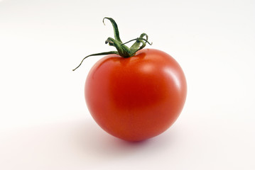 Tomate einzeln