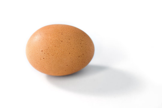 Single Brown Egg on White with Shadow