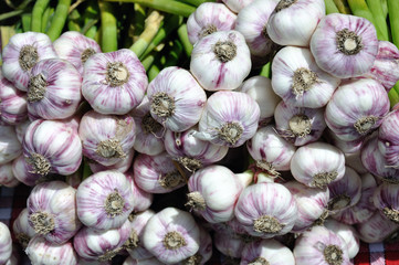 Ail de Provence