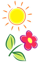 Summer Flower (Vector)