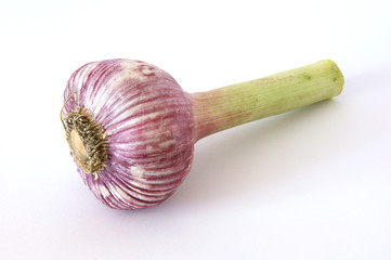 Knoblauch extra frisch