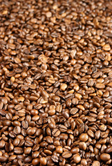 Coffee beans background