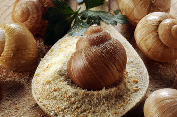 Preparazione delle lumache escargot