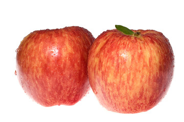 Two red apples on white background