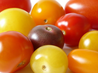 Tomaten II