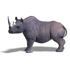 Fototapeta premium Rhinoceros Rendering