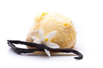Einzelne Kugel Eis mit Blüte und Vanilleschote