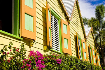 Green and Orange Windows on Yellow