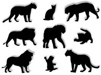 Felini in silhouette © Guilu