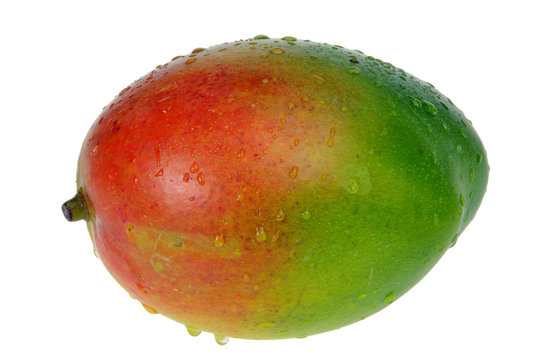 Mango 05