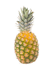 Fototapeta premium Pineapple