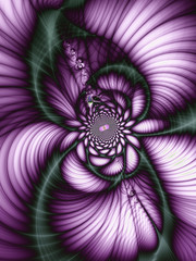 Beautiful abstract flower