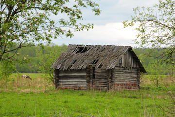 Obraz premium The abandoned house
