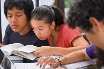 Obraz premium Studying together