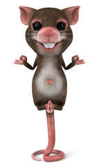 Souris zen