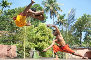 Zelfklevend Fotobehang Kalarippayat,fight in air,  indian ancient martial art © Aleksandar Todorovic