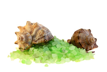 Sea cockleshells and salt.