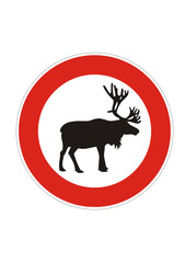 Achtung - Wildwechsel