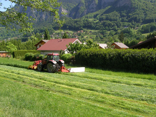 Tracteur fauchant l'herbe